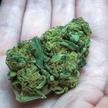 top grade medical marijuana