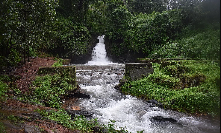 Things to do in goa with family Image eClassifieds4u