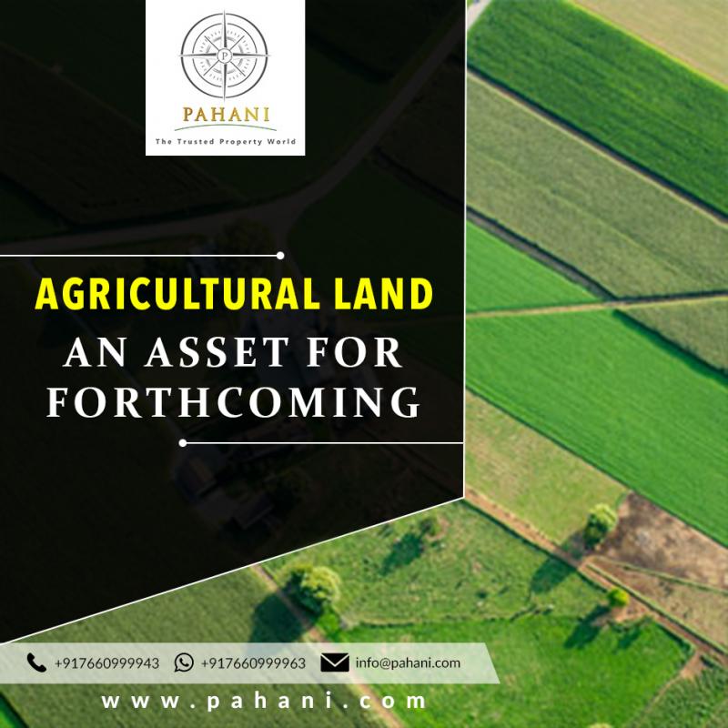 Contact Pahani/adangal for Agricultural Land for Sale in andhra pradesh Image eClassifieds4u