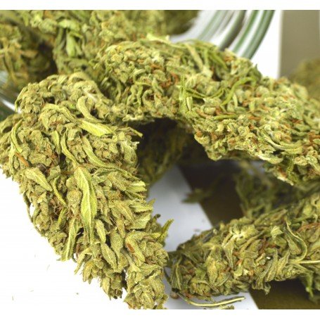 best in the market in terms of quality and pricing.We do sell at cheap prices and shipping is done Image eClassifieds4u