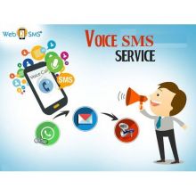 Bulk voice SMS service Provider in Delhi