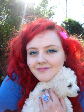 TOY POODLE PUPPIES Image eClassifieds4u 2