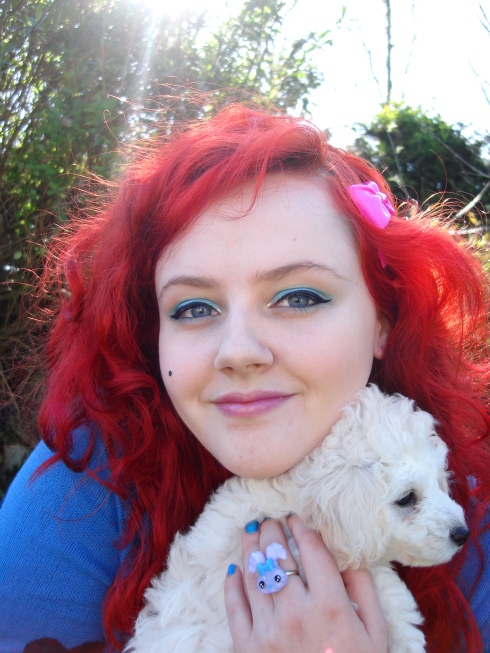 TOY POODLE PUPPIES Image eClassifieds4u