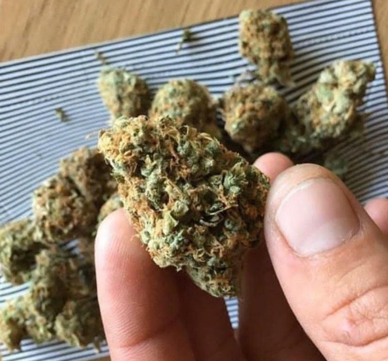 ORDER ALPRAZOLAM POWDER,KETAMIN, Image eClassifieds4u