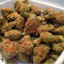 High Grade indoor Runtz, Moonrocks and Bubba kush Come one come all Image eClassifieds4U