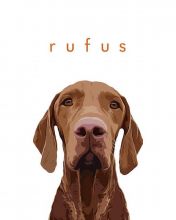 Pet Portraits Image eClassifieds4u 4