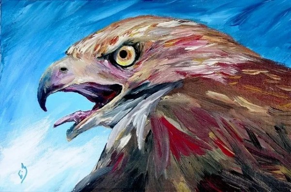 hawk.care Image eClassifieds4u