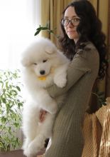 Health Guaranty Male and Female Samoyed Puppies For Sale Text us at (908) 516-8653‬)