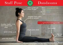 300-hours Yoga Teacher Training Certificate Course Image eClassifieds4u 3