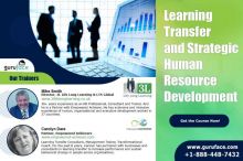 Training on Learning Transfer and Strategic HR Department