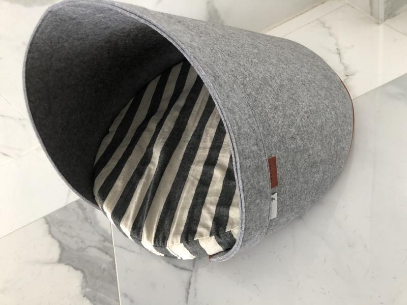 Miniature dachshund boy (Teckel) Image eClassifieds4u