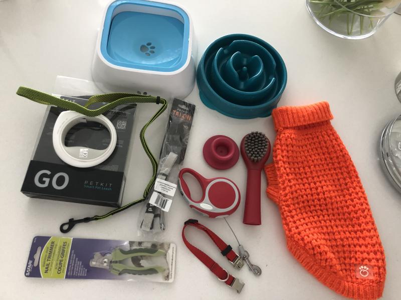 Miniature dachshund boy (Teckel) Image eClassifieds4u