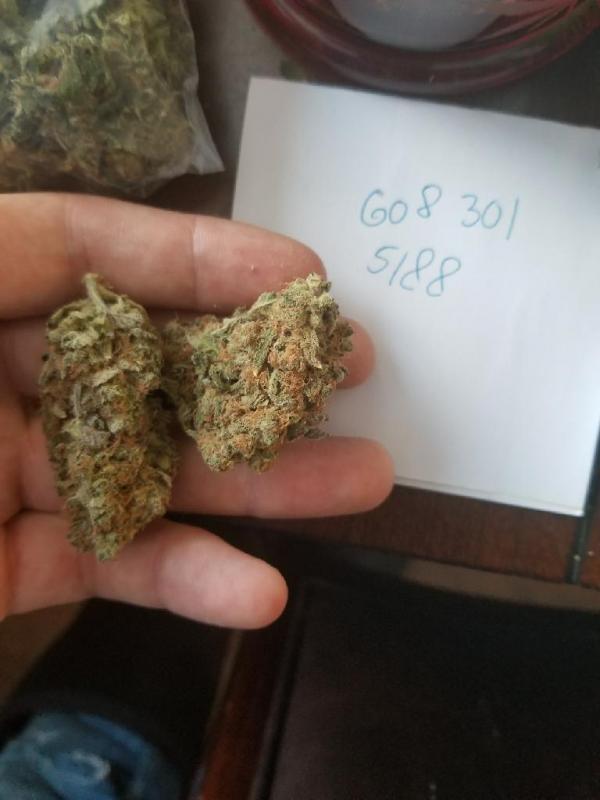 exotic top shelf on deck Image eClassifieds4u