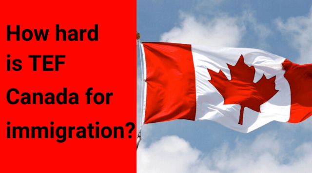 TEF CERTIFICATION ONLINE WITHOUT EXAMS WHATSAPP:+1(706)521-4615 Image eClassifieds4u