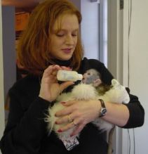 CAPUCHIN MONKEYS AVAILABLE FOR ADOPTION (604) 265-8412