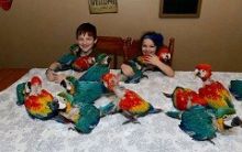 Parrots and Eggs for Sale contact us at chanelryan12@gmail.com Image eClassifieds4U