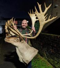 Taxidermy