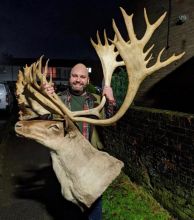 Taxidermy Meseum