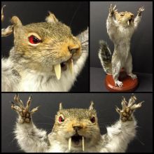 Taxidermy Meseum