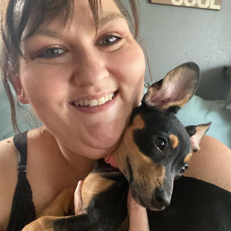 CHARMING MINIATURE PINSCHER PUPPIES FOR RE-HOMING Image eClassifieds4u