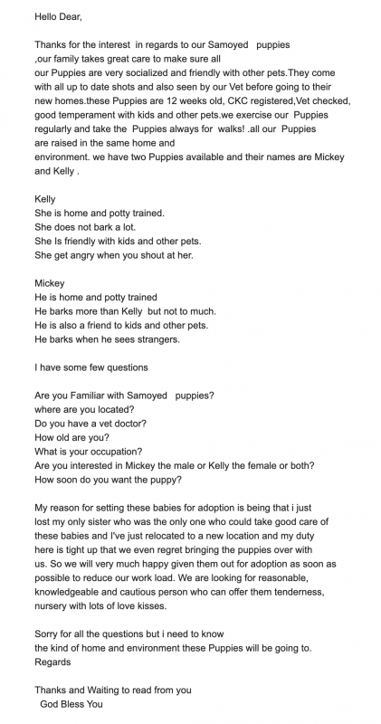 Offering : Lovely Samoyed puppies for adoption Scam Email US (christjohnson204@gmail.com ) Image eClassifieds4u