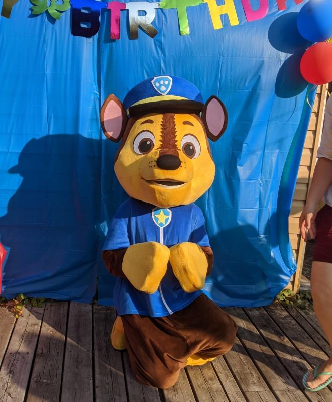 Princess and Kids Character Parties! Frozen, Paw Patrol, Ladybug Image eClassifieds4u