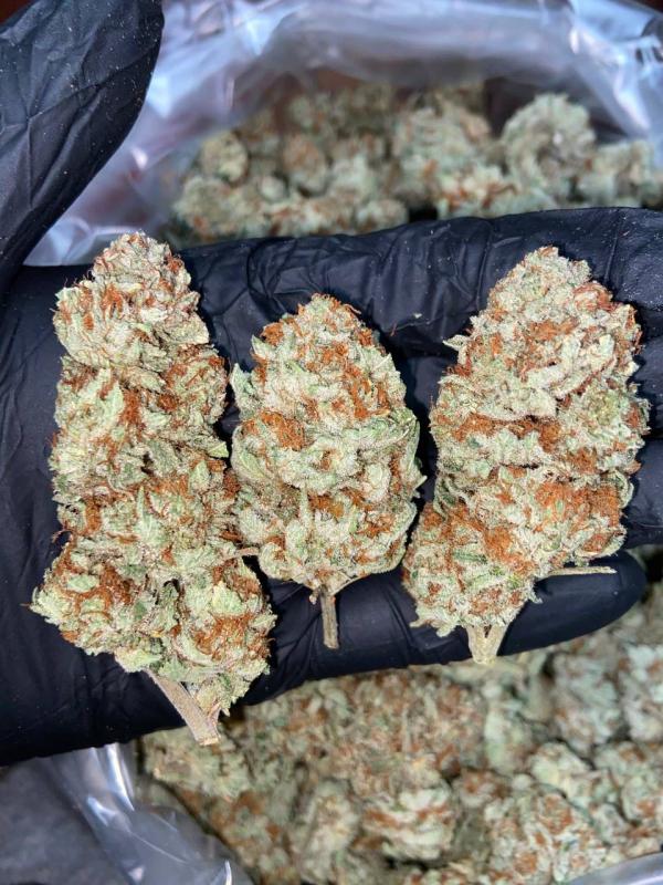 white widow 115g online uk Image eClassifieds4u