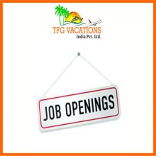 Tourism Company Hiring Candidates For Part Time Job