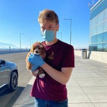 Stunning cavapoo puppies available for adoption. (katekathy328@gmail.com) Image eClassifieds4u 1