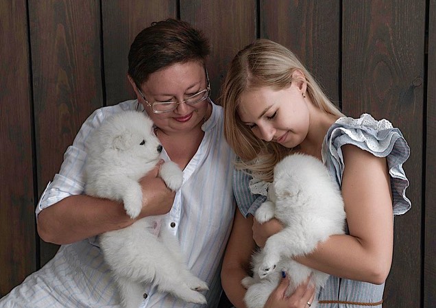 Gorgeous, playful samoyed puppies for free adoption {kellybains56@gmail.com} Image eClassifieds4u