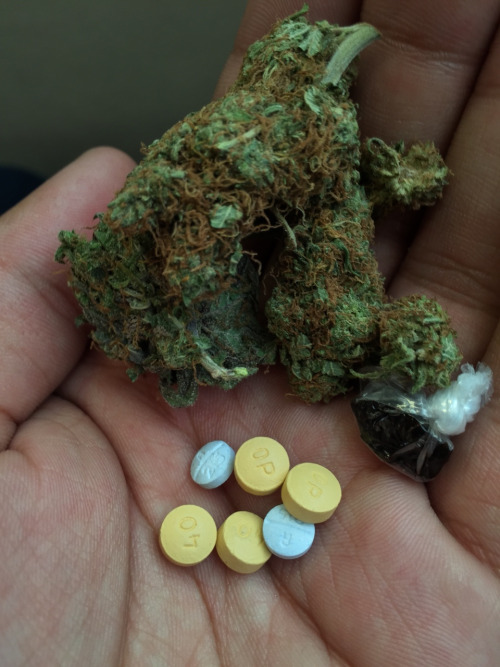 Weed Coke Cold LSD,ketamine ,oxy_80mg, morphine,ecstasy..text 410. 357.1201 Image eClassifieds4u