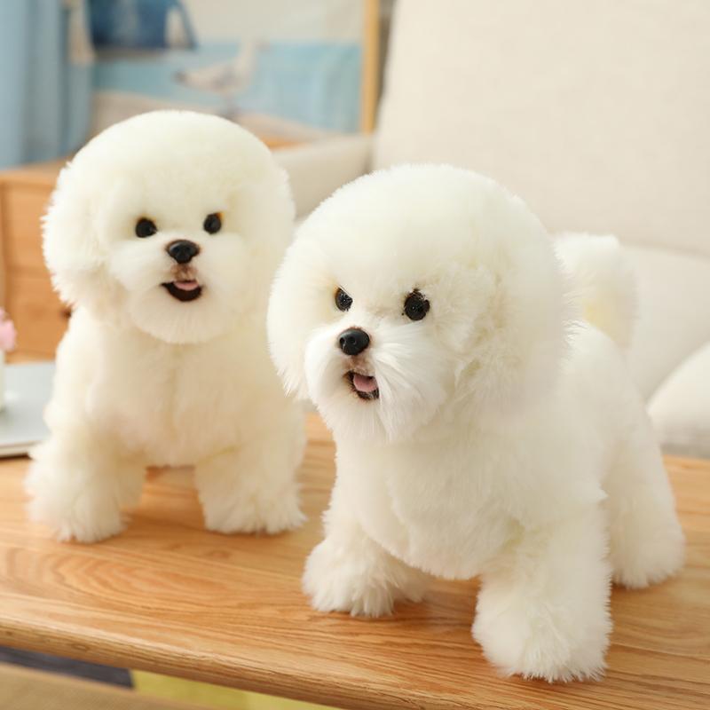 1 Male And 2 Females Bichon Frise Pups Available 4 Xmas!!! Image eClassifieds4u