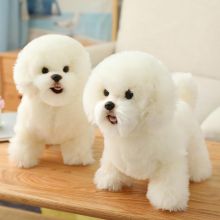 1 Male And 2 Females Bichon Frise Pups Available 4 Xmas!!! Image eClassifieds4u 2