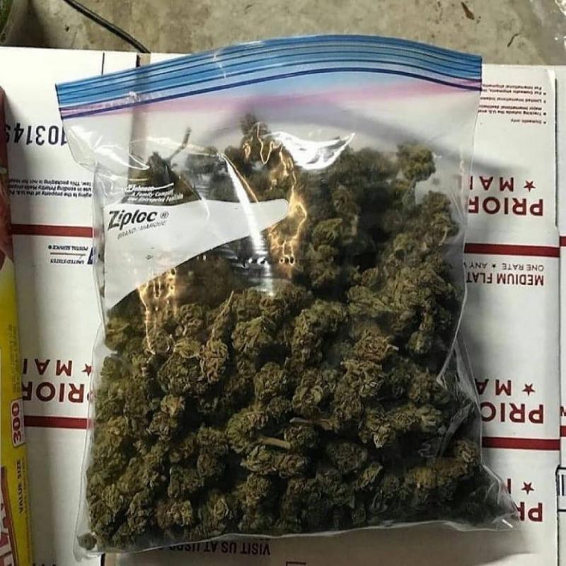 -Alison Wonderland 500mg CBD Image eClassifieds4u