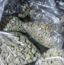 Where to buy quality mephedrone (4MMC) for plant feed