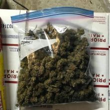 Buy Rubifen, , Concerta, , sibutramine, Dysport, Botox, Restylane, Surgiderm etc. Image eClassifieds4u 4