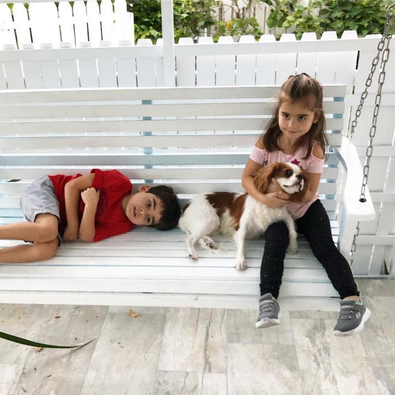 Cavalier King Charles Spaniel Puppies For Adoption Image eClassifieds4u