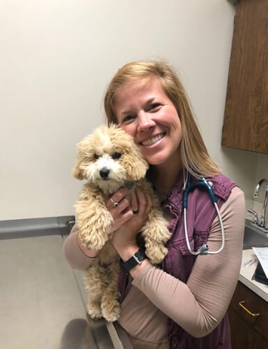 🟥🍁🟥 HEALTHY CKC CAVAPOO PUPPIES 🟥🍁🟥 Image eClassifieds4u