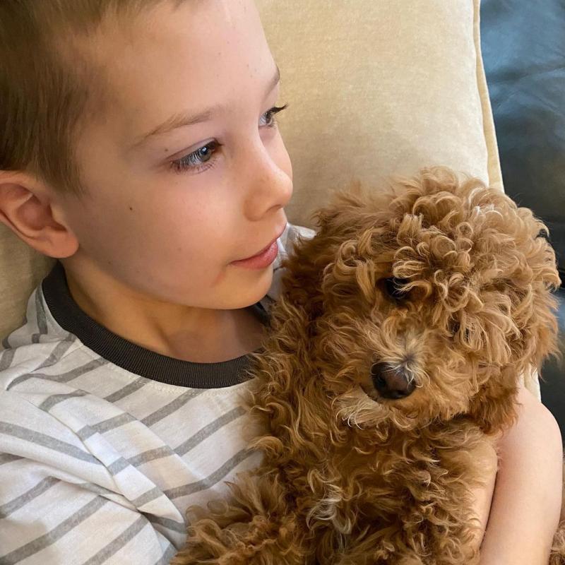 Beautiful Cavapoo Puppies For Adoption(liviae542@gmail.com) Image eClassifieds4u