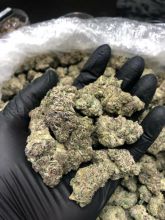 Taking Orders ~ Medical Marijuana & Cannabis Product Available www.mjonlinebudstore.com Image eClassifieds4u 2