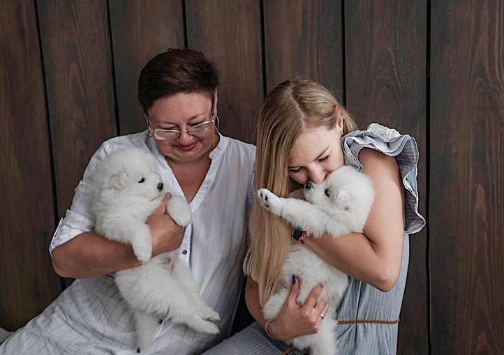 Gorgeous, playful samoyed puppies for free adoption { kellybains56@gmail.com } Image eClassifieds4u