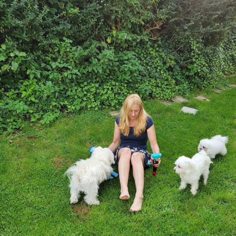 Male and female Maltese puppies looking for good home contact us via email royceclovis@gmail.com Image eClassifieds4u