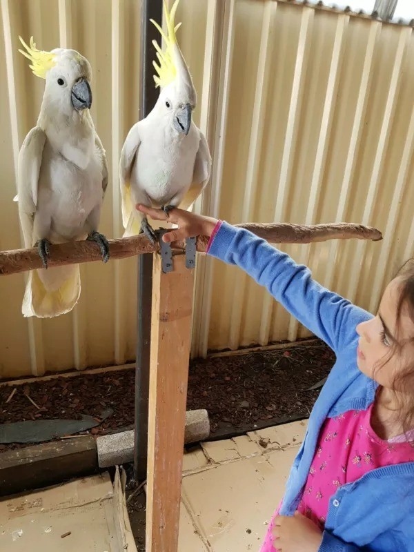 zcdfgth atoo Image eClassifieds4u