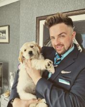 π₯ππ₯ NEW YEARπΆ MALE/FEMALE πͺ GOLDEN RETRIEVER PUPPIES ππ Image eClassifieds4u 1