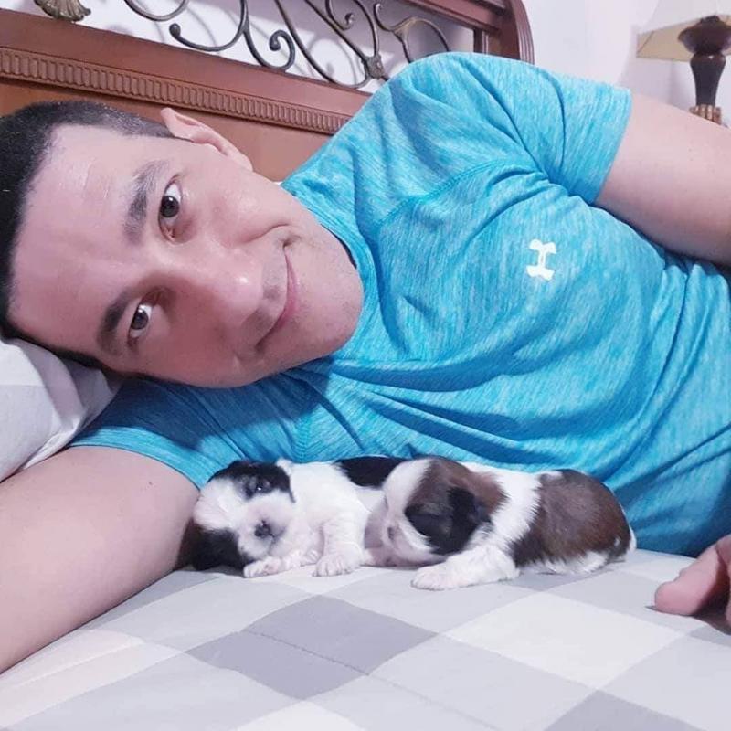 Adorable shih-tzu puppies available for adoption. (ritakind97@gmail.com) Image eClassifieds4u