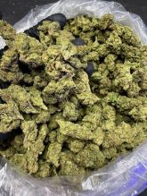 #cannabis #medicalmarijuana. #indica #sativaspecies. We supply best quality Marijuana Image eClassifieds4U