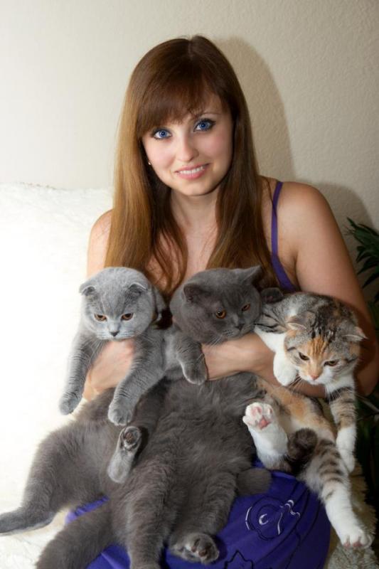 😻😻Scottish Fold Kittens Available 😻😻 Txt or Call Us (647)247-8422 Image eClassifieds4u