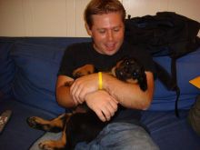 Cute Rottweiler puppies Available. Image eClassifieds4U