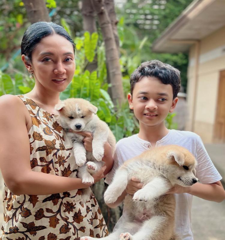 🐶🐶 C.K.C MALE 🐶 FEMALE 🐶 SHIH TZU PUPPIES $850 ✅💯✈️ Image eClassifieds4u