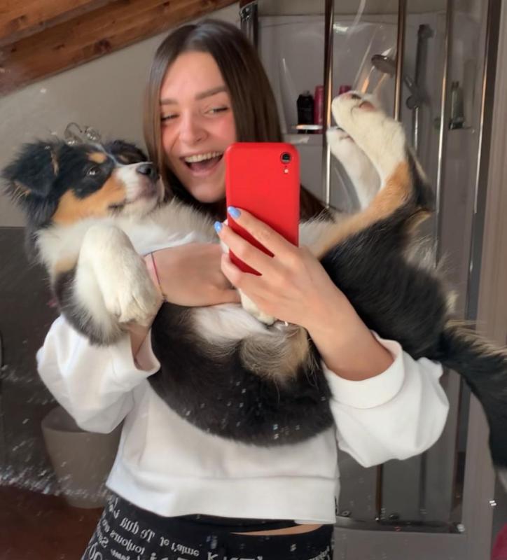 Australian Shepherd Puppies (267) 820-9095 or amandamoore339@gmail.com Image eClassifieds4u